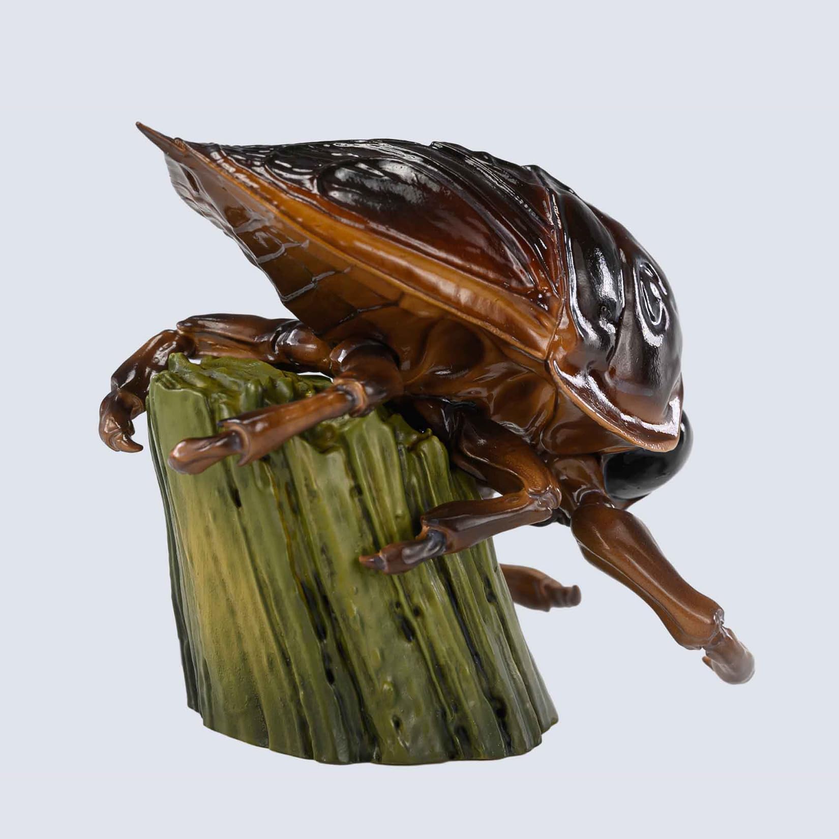 特撮 The insects of Japan vol.6 Coleoptera,curculionidae,barid The Insects of Japan Vol. 6 Coleoptera, Curculionidae
